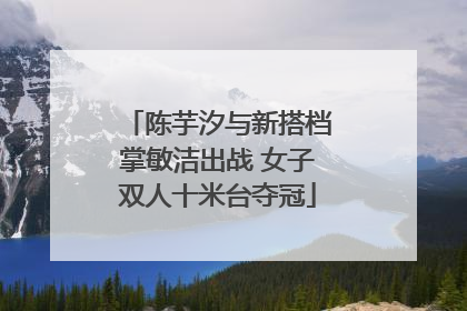 陈芋汐与新搭档掌敏洁出战 女子双人十米台夺冠
