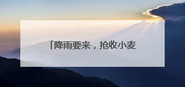 降雨要来，抢收小麦开启“倍速模式”