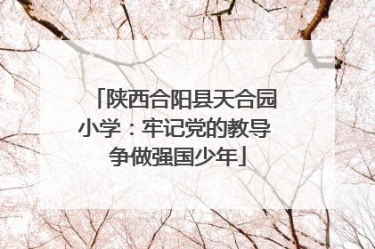 陕西合阳县天合园小学：牢记党的教导 争做强国少年