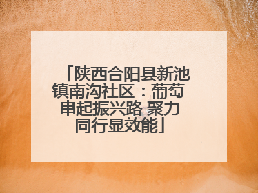 陕西合阳县新池镇南沟社区：葡萄串起振兴路 聚力同行显效能
