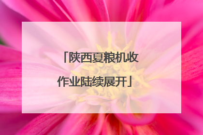 陕西夏粮机收作业陆续展开