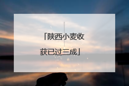 陕西小麦收获已过三成