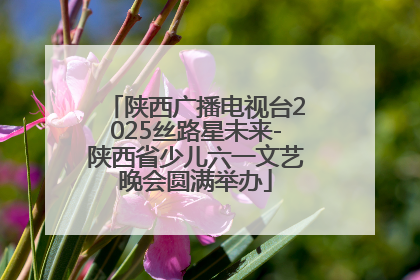 陕西广播电视台2025丝路星未来-陕西省少儿六一文艺晚会圆满举办