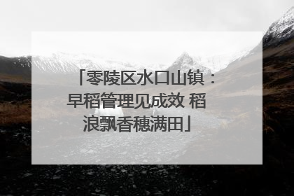 零陵区水口山镇：早稻管理见成效 稻浪飘香穗满田