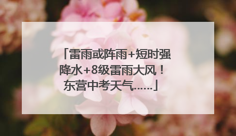 雷雨或阵雨+短时强降水+8级雷雨大风！东营中考天气……