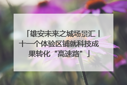 雄安未来之城场景汇丨十一个体验区铺就科技成果转化“高速路”
