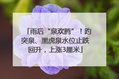 雨后“泉欢腾”！趵突泉、黑虎泉水位止跌回升，上涨3厘米