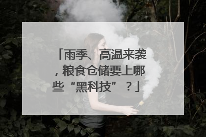 雨季、高温来袭，粮食仓储要上哪些“黑科技”？