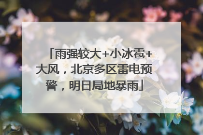 雨强较大+小冰雹+大风，北京多区雷电预警，明日局地暴雨