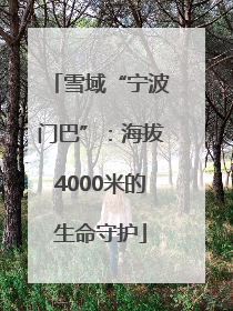 雪域“宁波门巴”：海拔4000米的生命守护