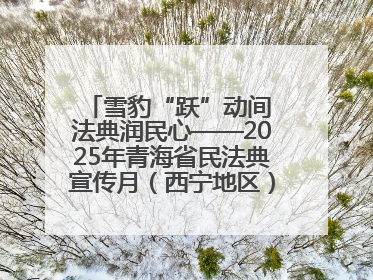 雪豹“跃”动间 法典润民心——2025年青海省民法典宣传月（西宁地区）主场活动见闻
