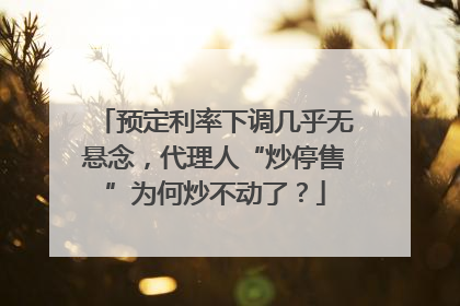 预定利率下调几乎无悬念，代理人“炒停售”为何炒不动了？
