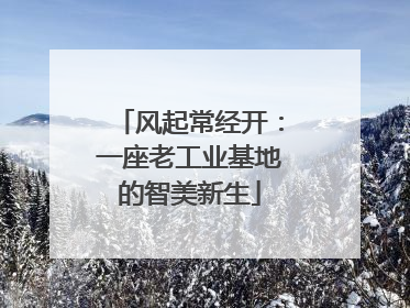 风起常经开：一座老工业基地的智美新生