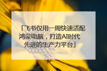 飞书仅用一周快速适配鸿蒙电脑，打造AI时代先进的生产力平台