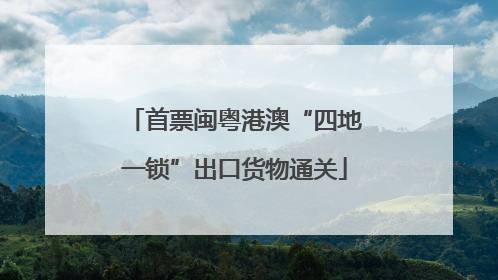 首票闽粤港澳“四地一锁”出口货物通关