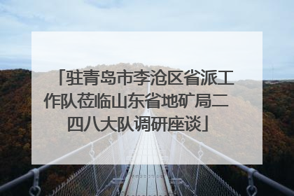 驻青岛市李沧区省派工作队莅临山东省地矿局二四八大队调研座谈