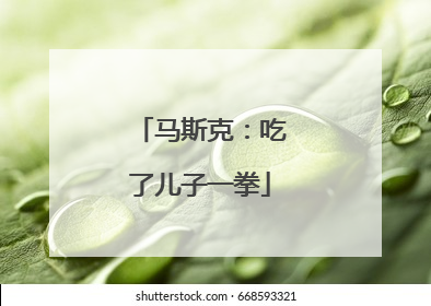 马斯克：吃了儿子一拳