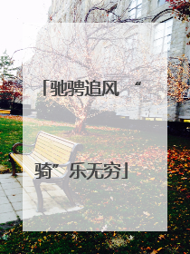 驰骋追风 “骑”乐无穷