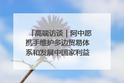 高端访谈｜阿中愿携手维护多边贸易体系和发展中国家利益——访阿拉伯议会议长亚马希