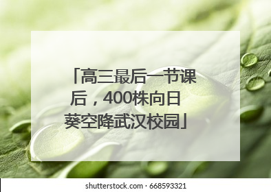 高三最后一节课后，400株向日葵空降武汉校园