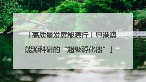 高质量发展能源行丨粤港澳能源科研的“超级孵化器”