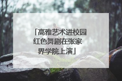 高雅艺术进校园 红色舞剧在张家界学院上演