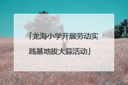 龙海小学开展劳动实践基地拔大蒜活动