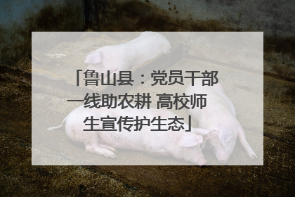 鲁山县：党员干部一线助农耕 高校师生宣传护生态
