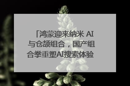 鸿蒙迎来纳米 AI 与仓颉组合，国产组合拳重塑AI搜索体验｜新经济观察