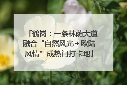 鹤岗：一条林荫大道融合“自然风光＋欧陆风情”成热门打卡地