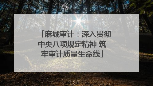 麻城审计：深入贯彻中央八项规定精神 筑牢审计质量生命线