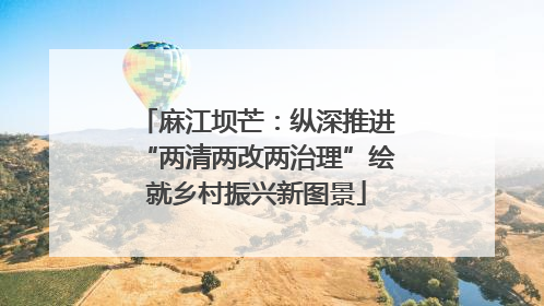 麻江坝芒：纵深推进“两清两改两治理”绘就乡村振兴新图景