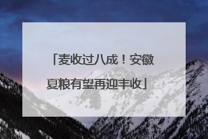 麦收过八成！安徽夏粮有望再迎丰收