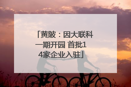 黄陂：因大联科一期开园 首批14家企业入驻