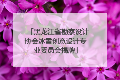 黑龙江省勘察设计协会冰雪创意设计专业委员会揭牌