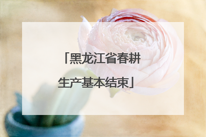 黑龙江省春耕生产基本结束