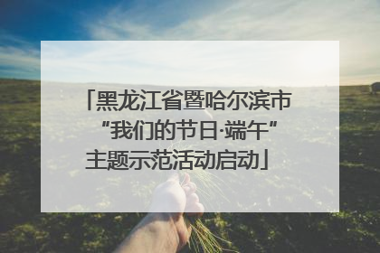 黑龙江省暨哈尔滨市“我们的节日·端午”主题示范活动启动