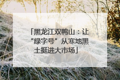 黑龙江双鸭山：让“绿字号”从寒地黑土挺进大市场
