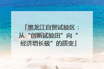 黑龙江自贸试验区：从“创新试验田”向“经济增长极”的质变
