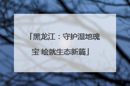 黑龙江：守护湿地瑰宝 绘就生态新篇