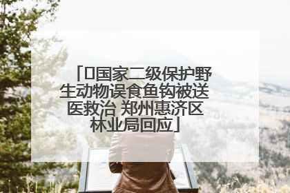 ﻿国家二级保护野生动物误食鱼钩被送医救治 郑州惠济区林业局回应