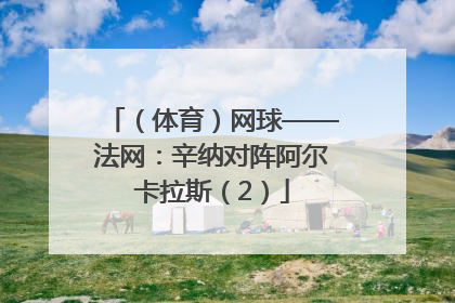 （体育）网球——法网：辛纳对阵阿尔卡拉斯（2）