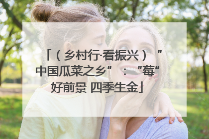 （乡村行·看振兴）“中国瓜菜之乡”：“莓”好前景 四季生金