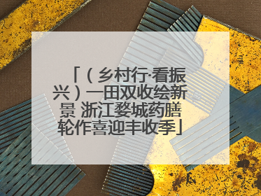 （乡村行·看振兴）一田双收绘新景 浙江婺城药膳轮作喜迎丰收季