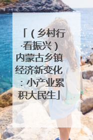 （乡村行·看振兴）内蒙古乡镇经济新变化：小产业累积大民生
