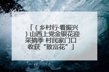 （乡村行·看振兴）山西上党金银花迎采摘季 村民家门口收获“致富花”