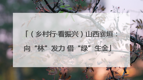 （乡村行·看振兴）山西襄垣：向“林”发力 借“绿”生金