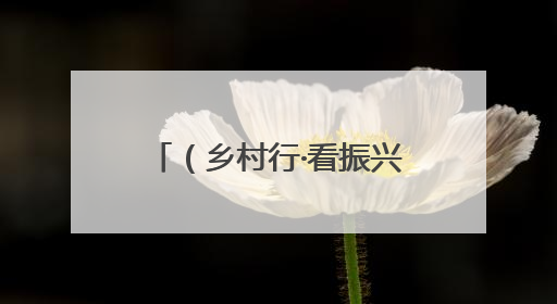 （乡村行·看振兴）山西长治上党：“红果”压满枝 农旅产业链促振兴