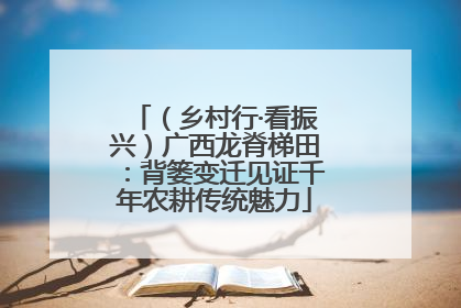 （乡村行·看振兴）广西龙脊梯田：背篓变迁见证千年农耕传统魅力