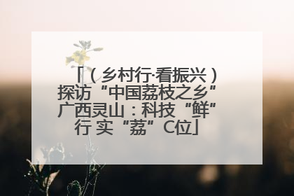 （乡村行·看振兴）探访“中国荔枝之乡”广西灵山：科技“鲜”行 实“荔”C位